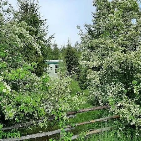 Domek Angielski Villa Bialowieza Exterior photo