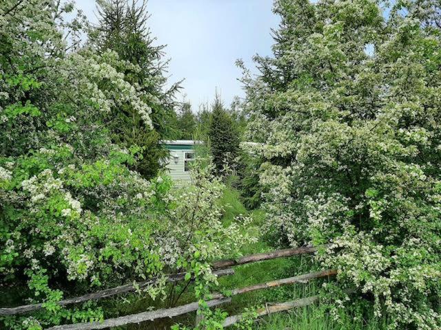 Domek Angielski Holiday home
